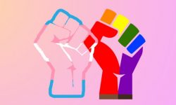 LGBTQ+ Solidarity
