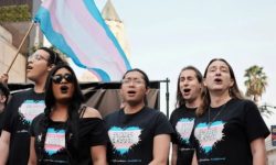 Trans Viewership Trends